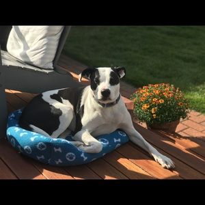 Meet your Posher, Liz